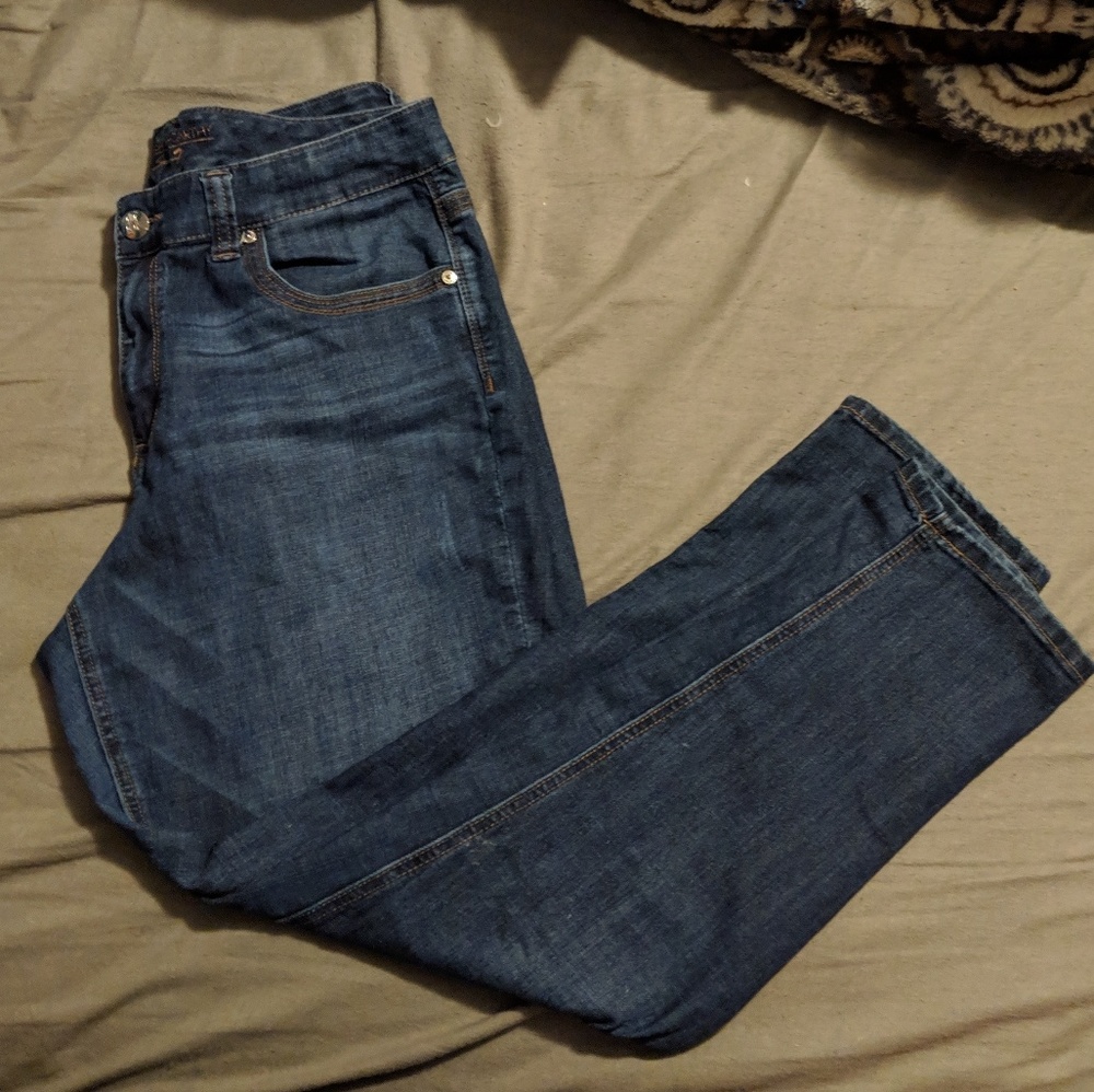 MM Lane Bryant Limited Edition Seven Jeans